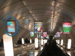 Фотография рекламного носителя, тип: Лайтбокс, адрес: Станция метро «Комендантский проспект», линия Фрунзенско-Приморская, Санкт-Петербург, Россия. Сторона/вариант Б №1062066