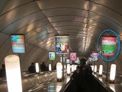 Фотография рекламного носителя, тип: Лайтбокс, адрес: Станция метро «Комендантский проспект», линия Фрунзенско-Приморская, Санкт-Петербург, Россия. Сторона/вариант Б №1062069