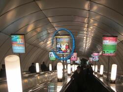 Фотография рекламного носителя, тип: Лайтбокс, адрес: Станция метро «Комендантский проспект», линия Фрунзенско-Приморская, Санкт-Петербург, Россия. Сторона/вариант Б №1062073