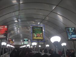 Фотография рекламного носителя, тип: Лайтбокс, адрес: Станция метро «Комендантский проспект», линия Фрунзенско-Приморская, Санкт-Петербург, Россия. Сторона/вариант А №1062064