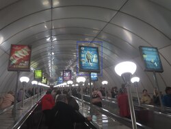 Фотография рекламного носителя, тип: Лайтбокс, адрес: Станция метро «Комендантский проспект», линия Фрунзенско-Приморская, Санкт-Петербург, Россия. Сторона/вариант А №1062058