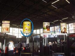 Фотография рекламного носителя, тип: Лайтбокс, адрес: Станция метро «Лесная», линия Кировско-Выборгская, Санкт-Петербург, Россия. Сторона/вариант Б №1062758