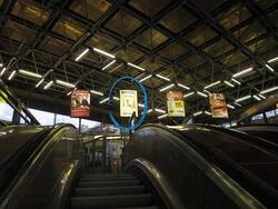 Фотография рекламного носителя, тип: Лайтбокс, адрес: Станция метро «Лесная», линия Кировско-Выборгская, Санкт-Петербург, Россия. Сторона/вариант Б №1062093